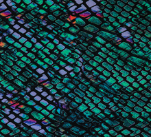 Hana Shorts - Prints