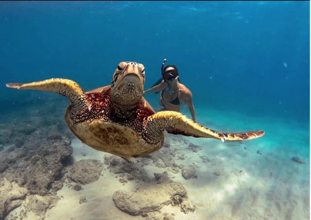 5 Ways to Protect our Ocean