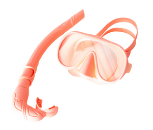 Snorkel Mask Set