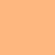 Big Beach Top - Solids
