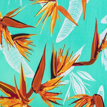 Birds of Paradise