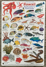 SeaLife ID Cards